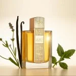 Angham parfumirana voda uniseks 100 ml