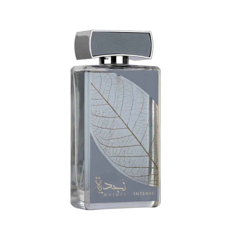 Najdia Intense parfumska voda za moške 100 ml