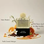 Rave Pure Desire Gold parfumska voda za ženske 100 ml