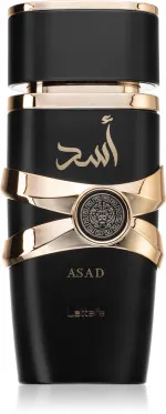 Asad parfumska voda za moške 100 ml