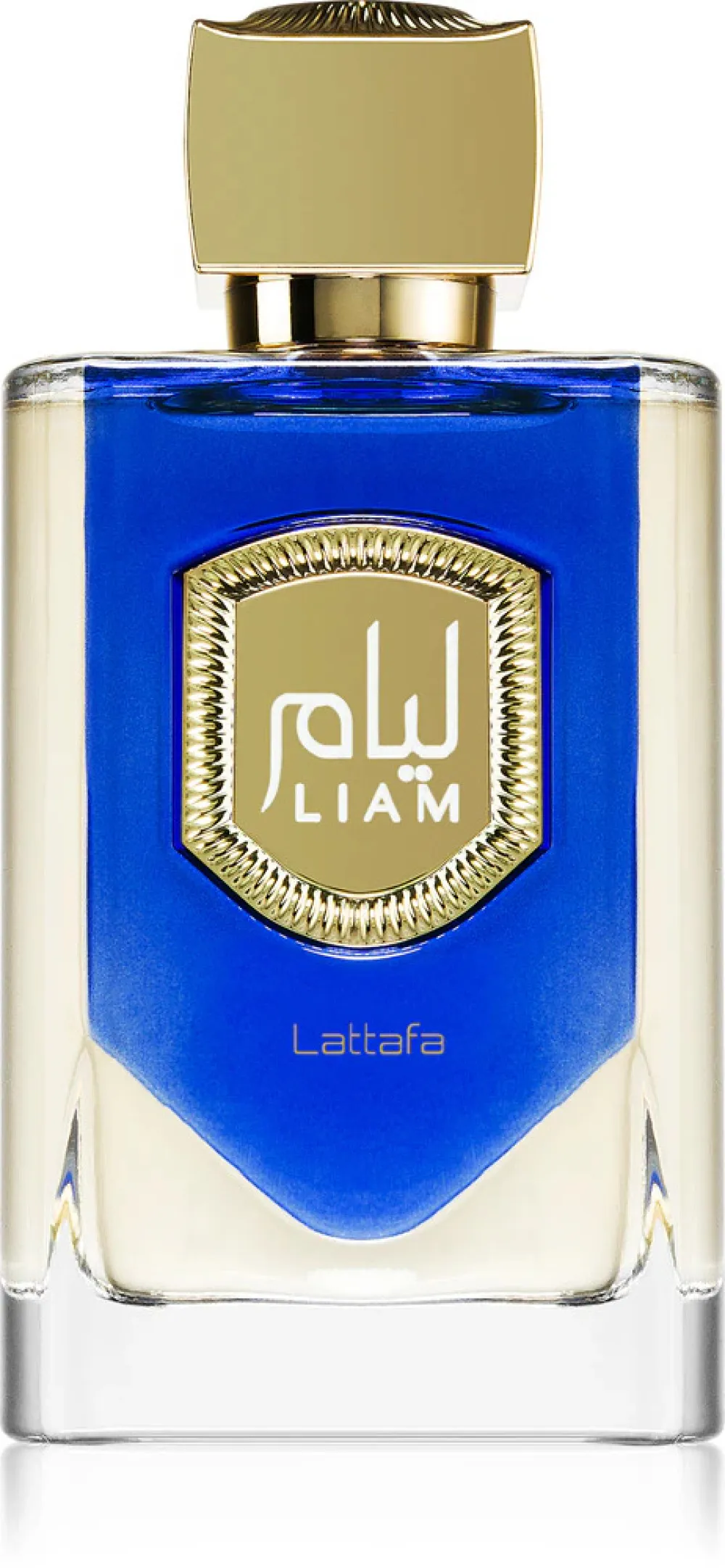 Liam Blue Shine parfumska voda uniseks 100 ml