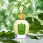 Tameen Collection Musk Wild Vanille parfumirana voda za ženske 100 ml