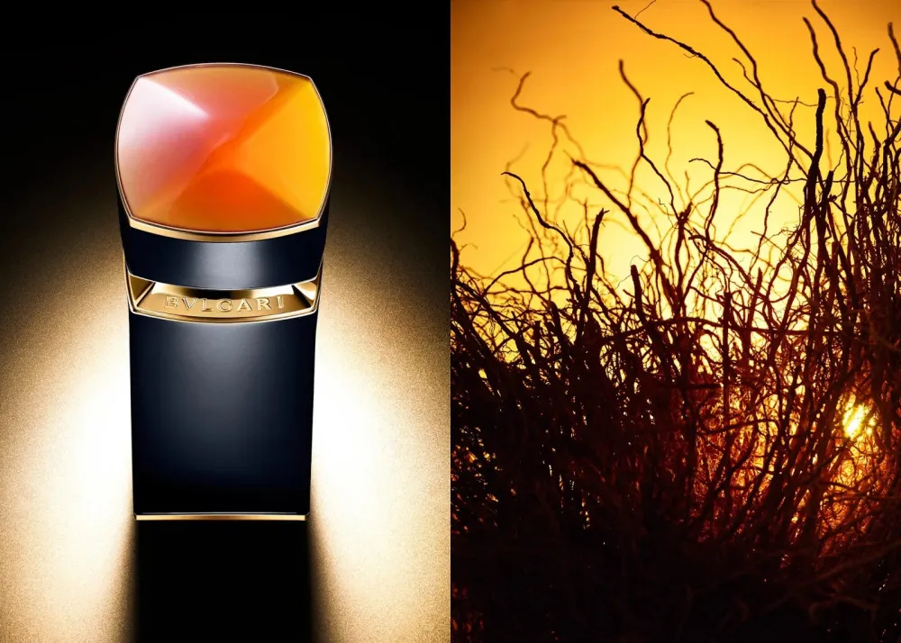 Le Gemme Ambero parfumska voda za moške 100 ml