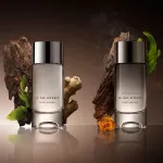 Le Sel d’Issey ponovno polnljiva parfumska voda za moške 50 ml