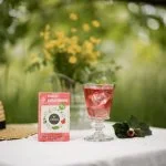 LEROS Zeliščna mešanica Bucco Cold Brew - filtrske vrečke (20 x 1,5 g) - za pripravo ledenega čaja