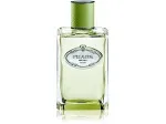Les Infusions de Vetiver parfumska voda unisex 100 ml