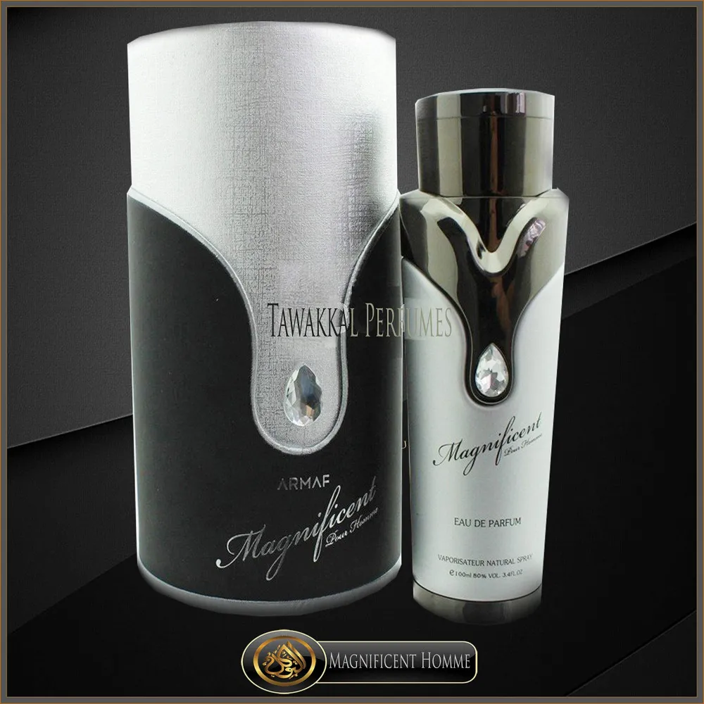 Magnificent Pour Homme parfumska voda za moške 100 ml