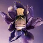 Date Night U parfumska voda 100 ml