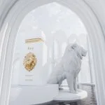 Rey U parfumska voda 100 ml