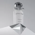 Silver Elixir parfumska voda uniseks 100 ml