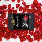 Bonita U parfumska voda 100 ml