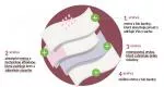 Organyc Menstrualne spodnjice iz organskega bombaža - ultra vpojne L