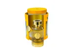 Mango Jugoso parfumirana voda unisex 100 ml
