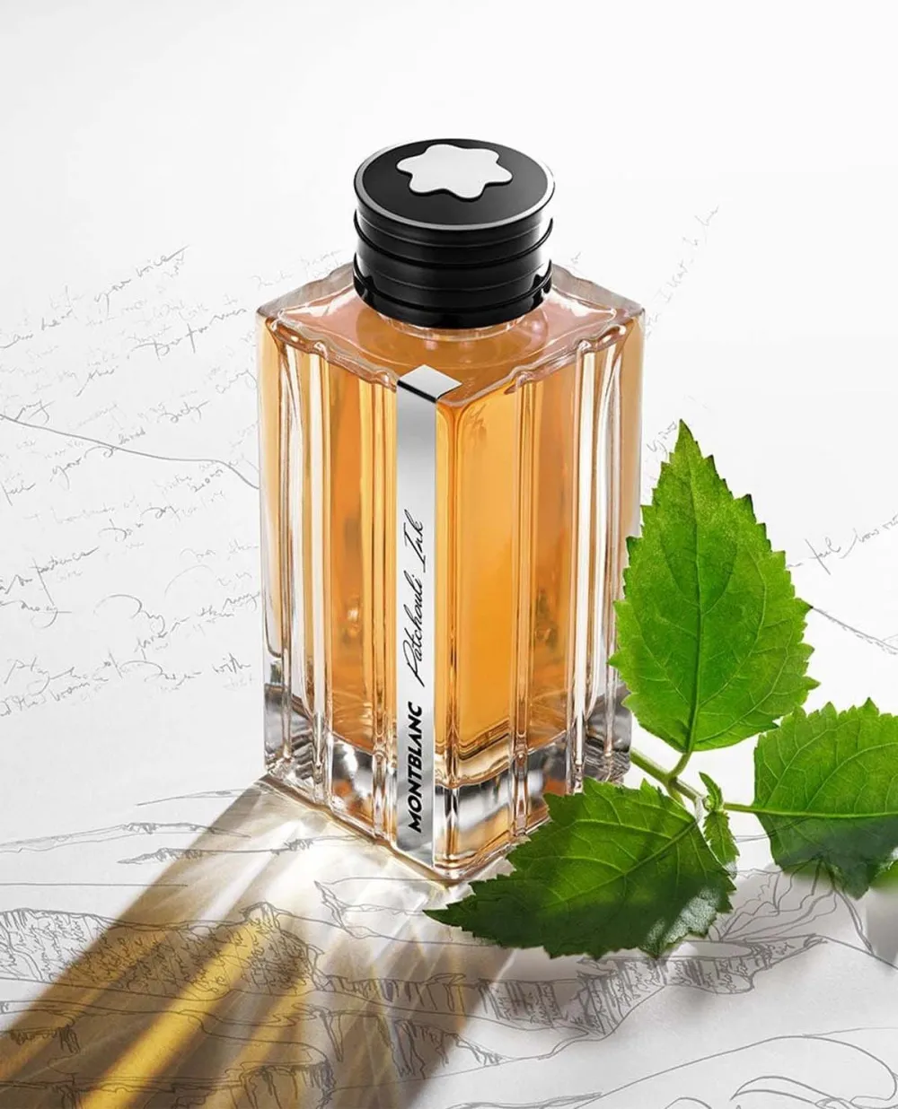 Patchouli Ink parfumska voda za moške 125 ml