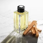 Vetiver Glacier parfumska voda za moške 125 ml