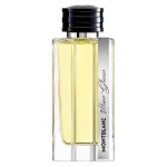 Vetiver Glacier parfumska voda za moške 125 ml