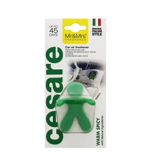 Mr&Mrs Fragrance Cesare Warm Spicy dišava za avto zelena