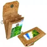 Green Banana Paper Mt. Finkol Accordion