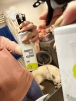 Natasha Limonino čistilo za kopalnice - pršilo (500 ml) - primerno za gospodinjstva s trdo vodo