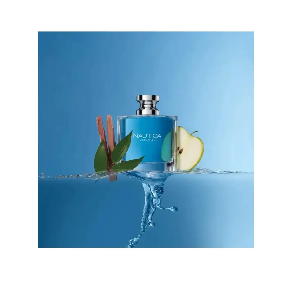 Voyage toaletna voda za moške 100 ml