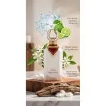 Noble Cedar parfumski ekstrakt uniseks 100 ml