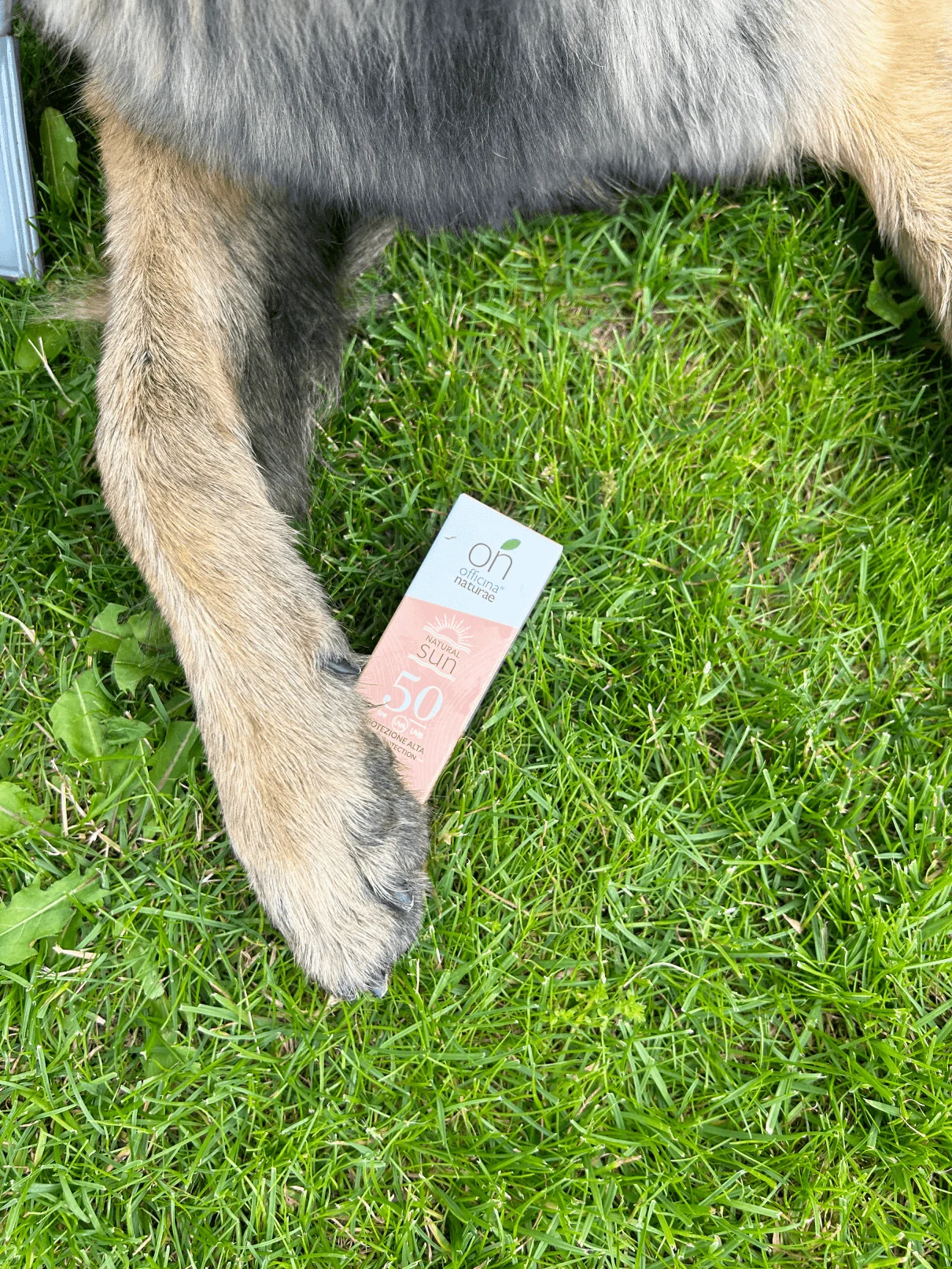 Officina Naturae Krema za sončenje za obraz SPF 50 - učvrstitvena (30 ml) - za vse tipe kože