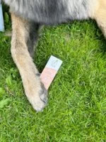 Officina Naturae Krema za sončenje za obraz SPF 50 - učvrstitvena (30 ml) - za vse tipe kože