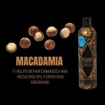 Šampon z izvlečkom olja 400 ml