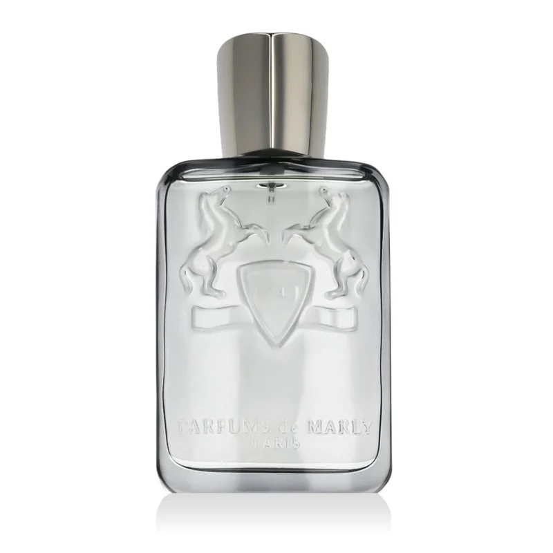 Castley parfumska voda za moške 125 ml
