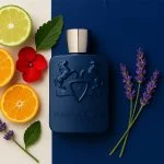 Layton parfumska voda unisex 75 ml