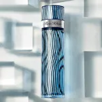 For Men toaletna voda za moške 100 ml