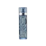 For Men toaletna voda za moške 100 ml