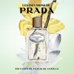 Infusion de Vanille parfumska voda unisex 100 ml