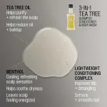 3-v-1 šampon-balzam-gel za prhanje z oljem čajevca za moške 350 ml