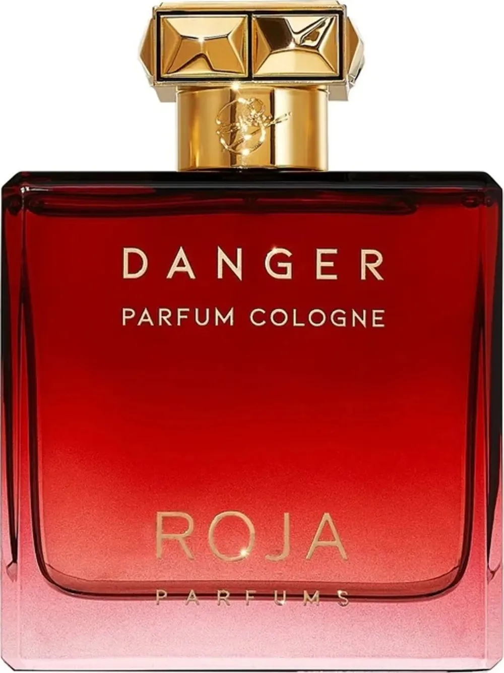 Danger Parfum Cologne parfumska voda za moške 100 ml