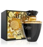 Rue Broca Carino Pour Homme parfumska voda za moške 100 ml