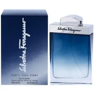 Salvatore Ferragamo Subtil Pour Homme toaletna voda za moške 100 ml