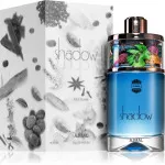Shadow II Pour Homme parfumska voda za moške 75 ml