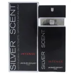 Silver Scent Intense toaletna voda za moške 100 ml