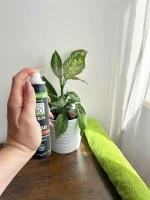 SO’BiO étic Naravni deodorant ECO SPRAY 24h MEN - cedra BIO (100 ml) - učinkovit do 24 ur