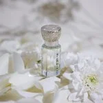 Secret Musk koncentrirano parfumsko olje U 12 ml