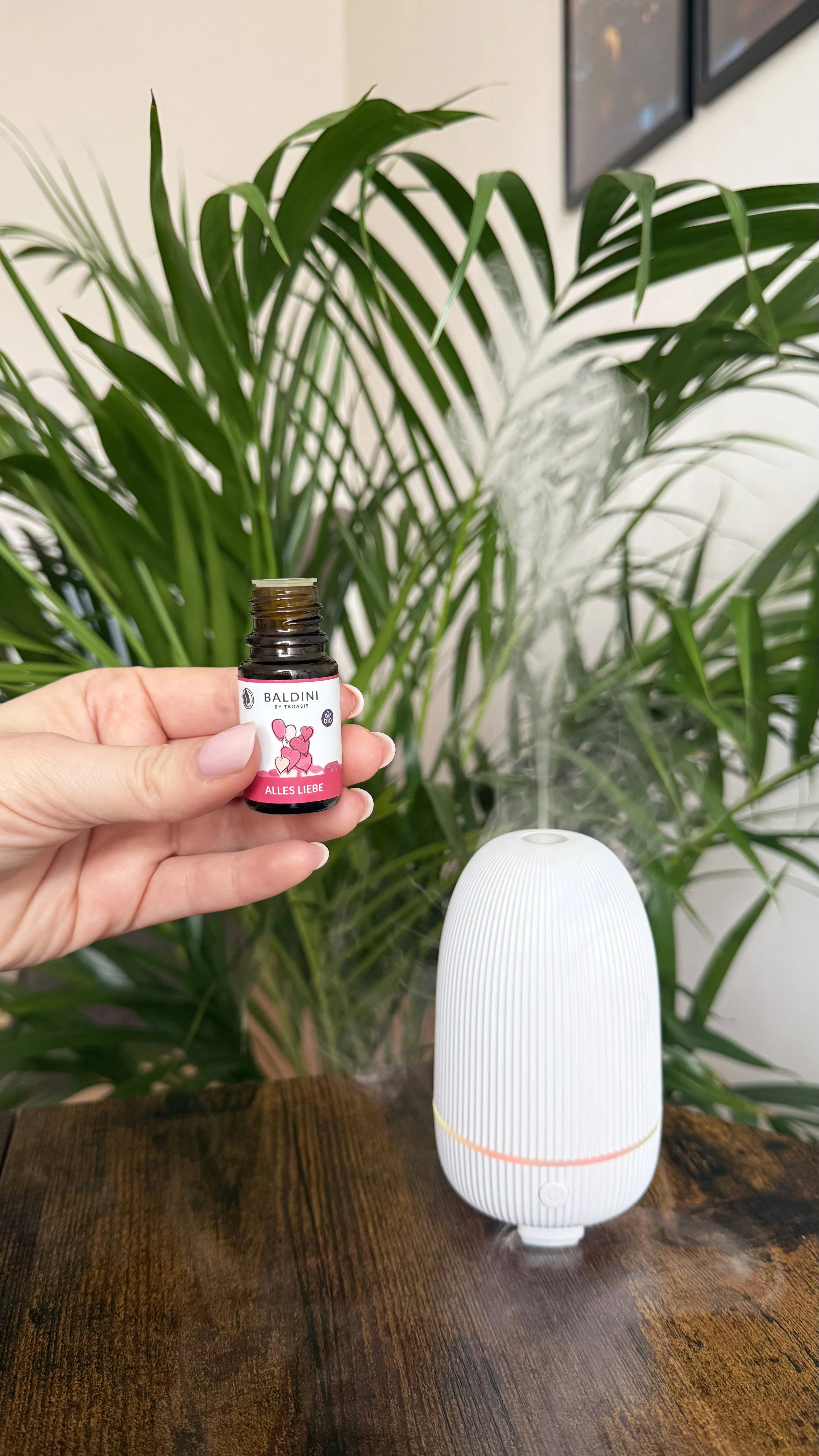 Taoasis Baldini Aromatični set All the Love BIO (5 ml) - harmonizirajoč vonj s kamnitim difuzorjem
