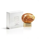 Hidden Shades parfumska voda unisex 75 ml