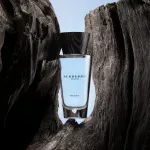 Touch for Men toaletna voda za moške 100 ml