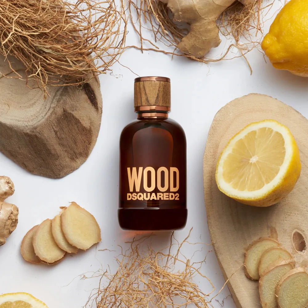 Wood for Him toaletna voda za moške 100 ml