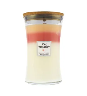 WoodWick Trilogy Blooming Orchard dišeča sveča z lesenim stenjem 609 g