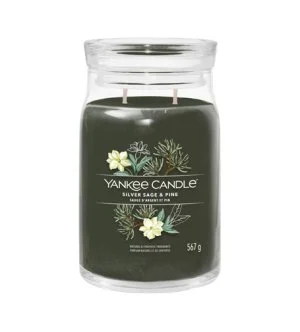 Yankee Candle Silver Sage & Pine velika dišeča sveča 567 g