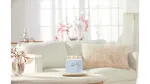 Clean Cotton podpisna sveča srednja 368 g