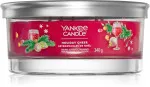 Holiday Cheer signature tumbler 5 vozlov 340 g