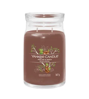 Yankee Candle Praline & Birch signature sveča velika 567 g
